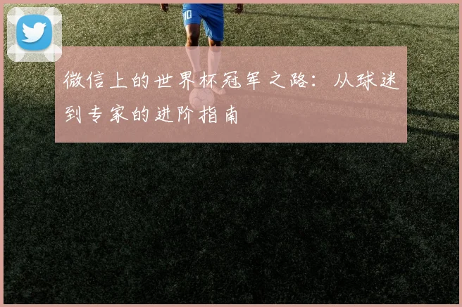 微信上的世界杯冠军之路：从球迷到专家的进阶指南