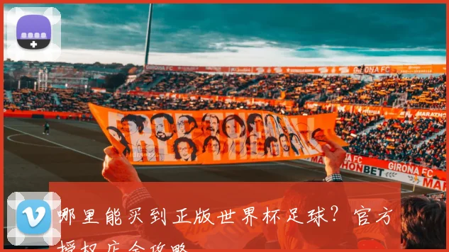 哪里能买到正版世界杯足球？官方授权店全攻略