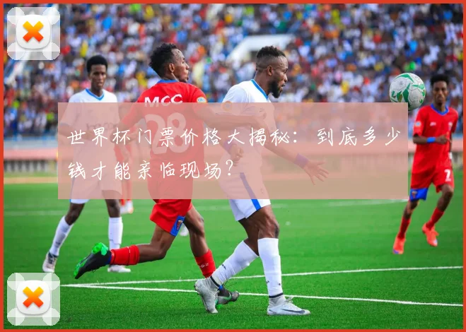 世界杯门票价格大揭秘：到底多少钱才能亲临现场？