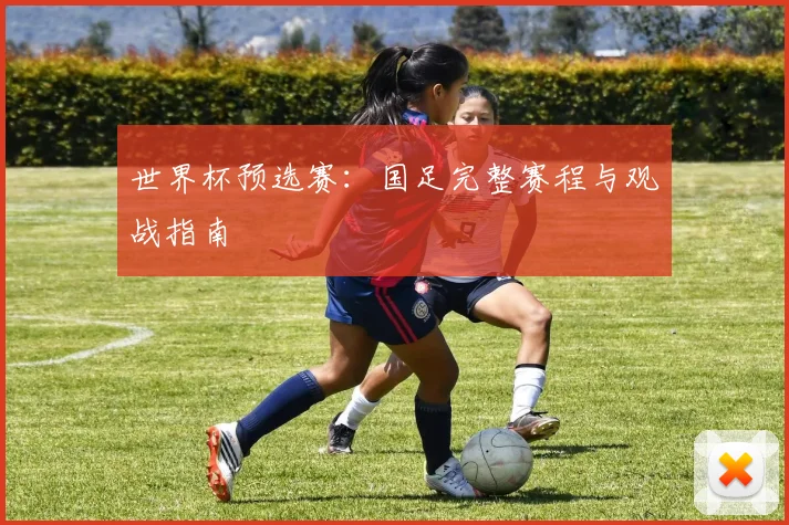 世界杯预选赛：国足完整赛程与观战指南