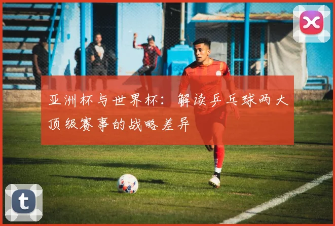 亚洲杯与世界杯：解读乒乓球两大顶级赛事的战略差异