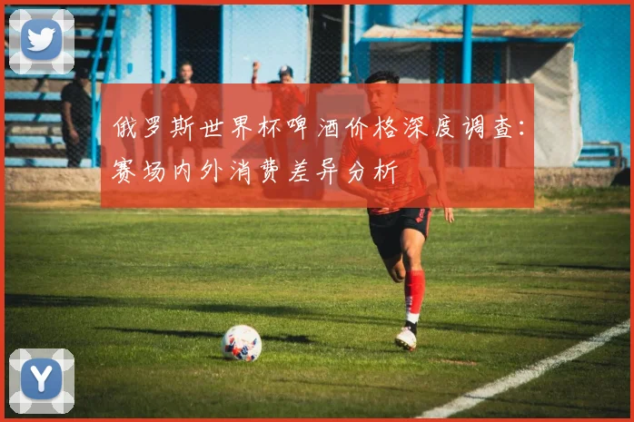 俄罗斯世界杯啤酒价格深度调查：赛场内外消费差异分析